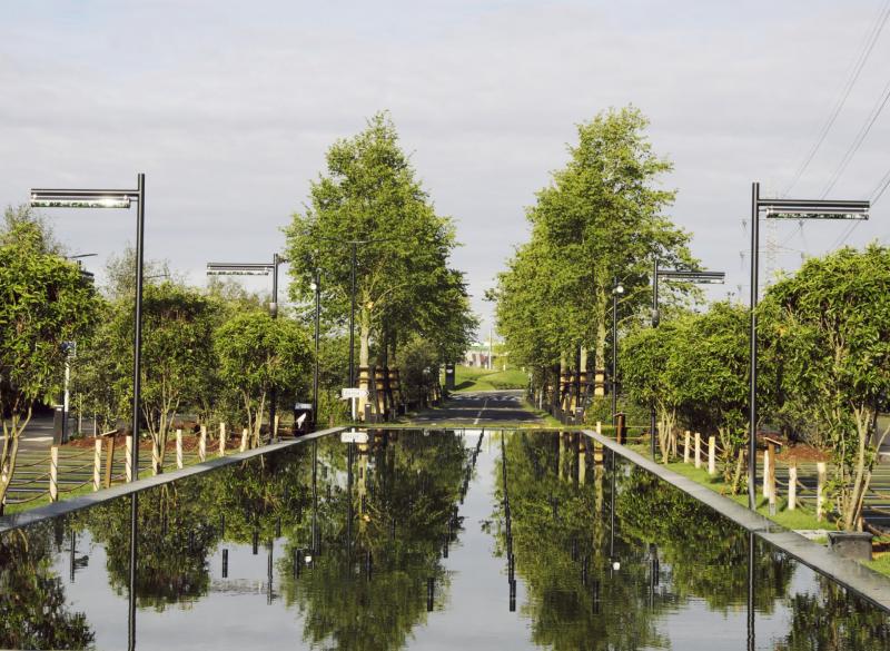 Le bassin central dans l'alignement de la voie d'entrée