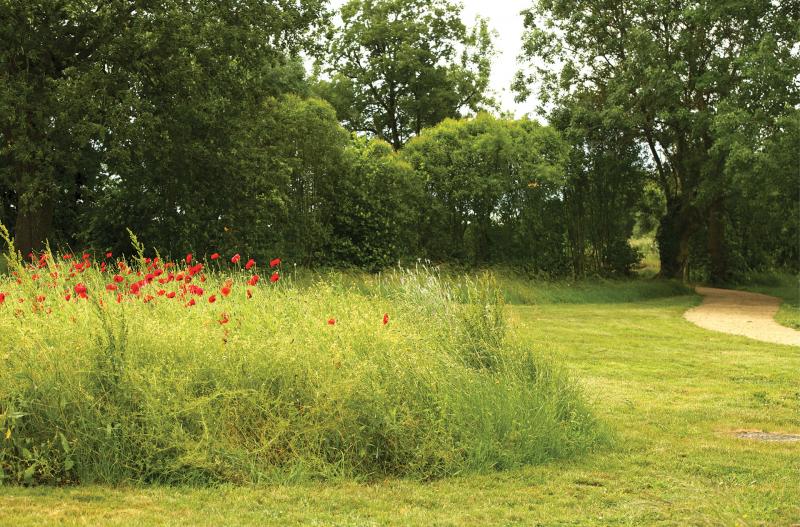 La gestion différenciée : ou comment valoriser au mieux le vivant et le travail du jardinier