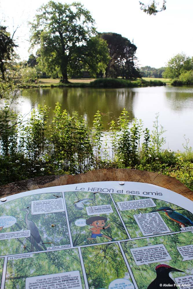 Des histoires pour apprendre à reconnaître les oiseaux du parc